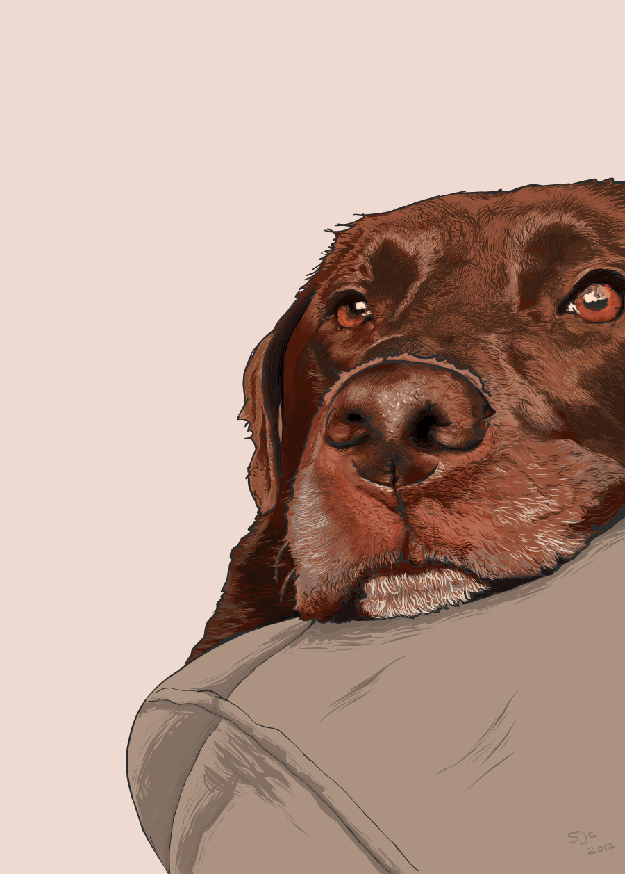 Big Boy Boris - Vector drawing of a chocolate labrador dog