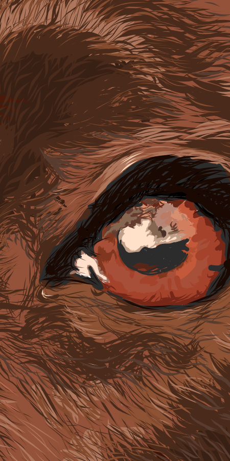Close up image of left eye