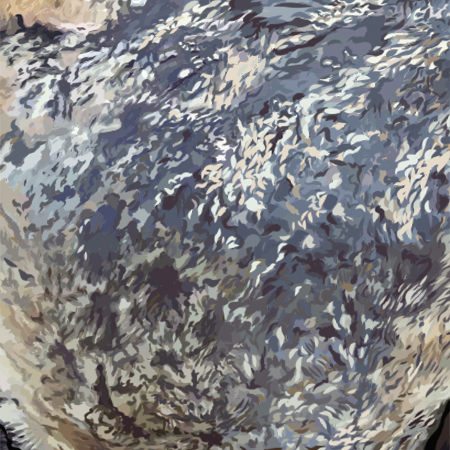 Close up image of feathers