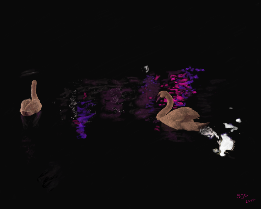 Red Light District Swans, Amsterdam - Digital drawing